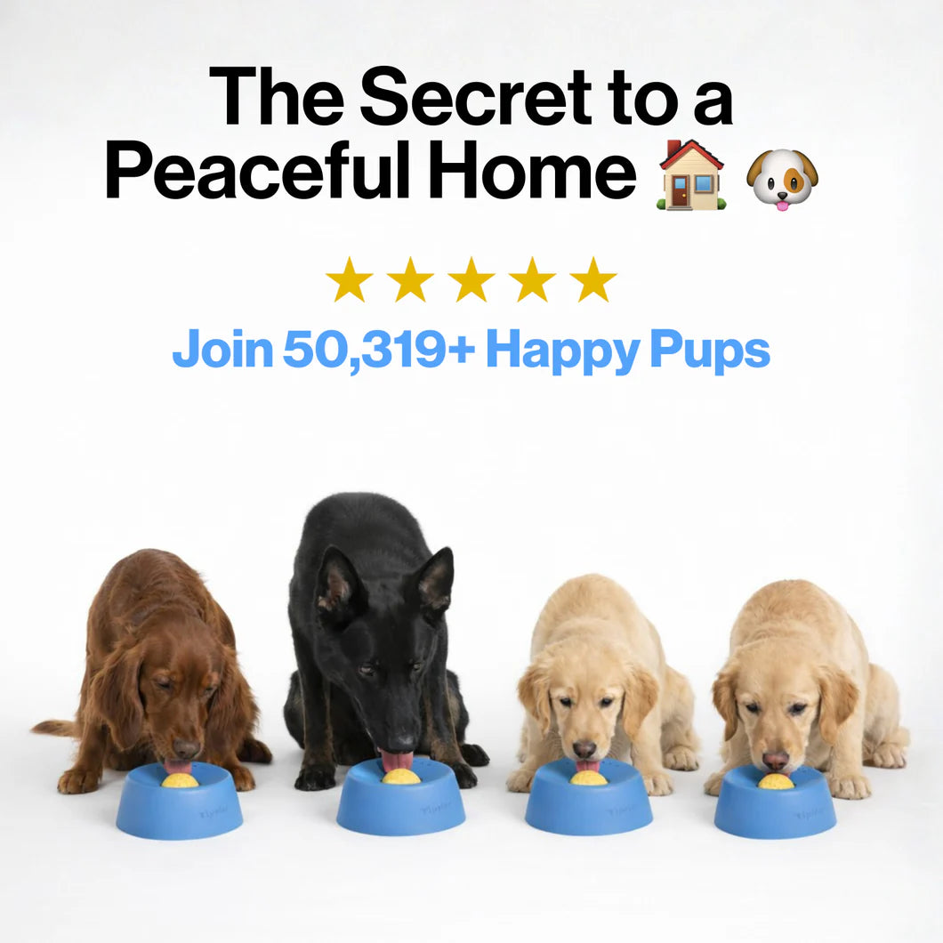 Wallure  licking bowl