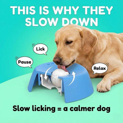 Wallure  licking bowl